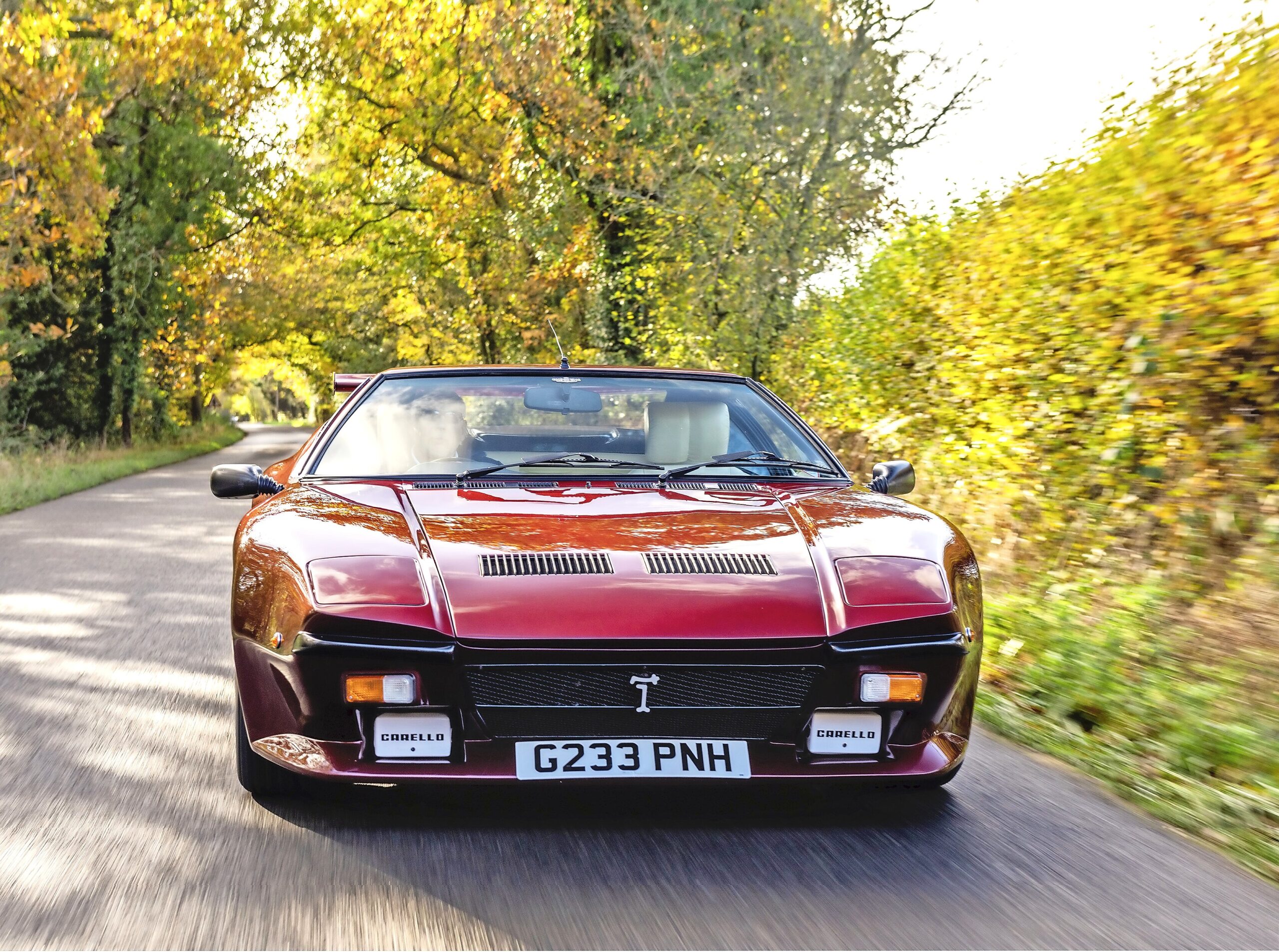 Front of the De Tomaso Pantera GT5S 