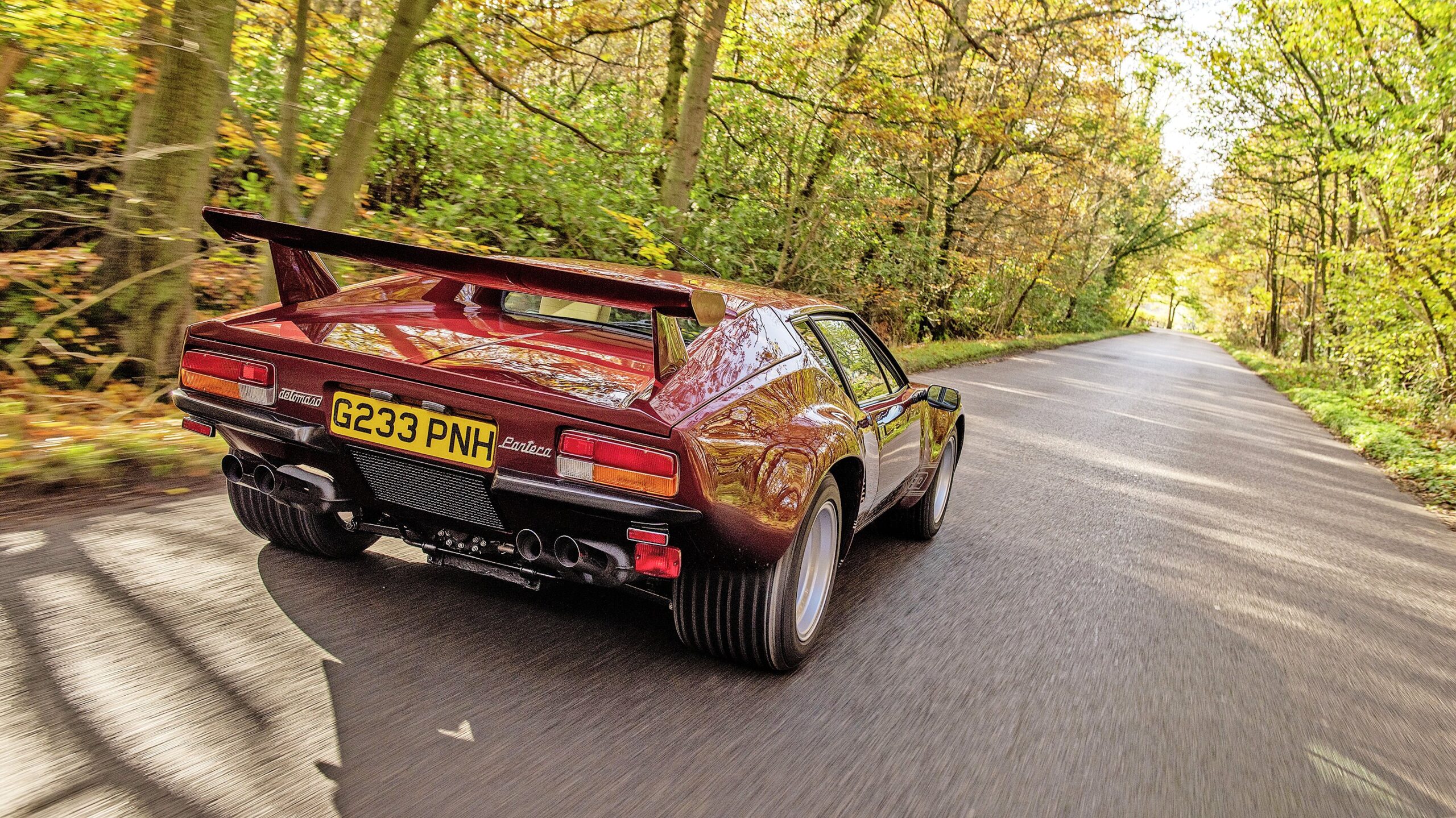 Back of the De Tomaso Pantera GT5S