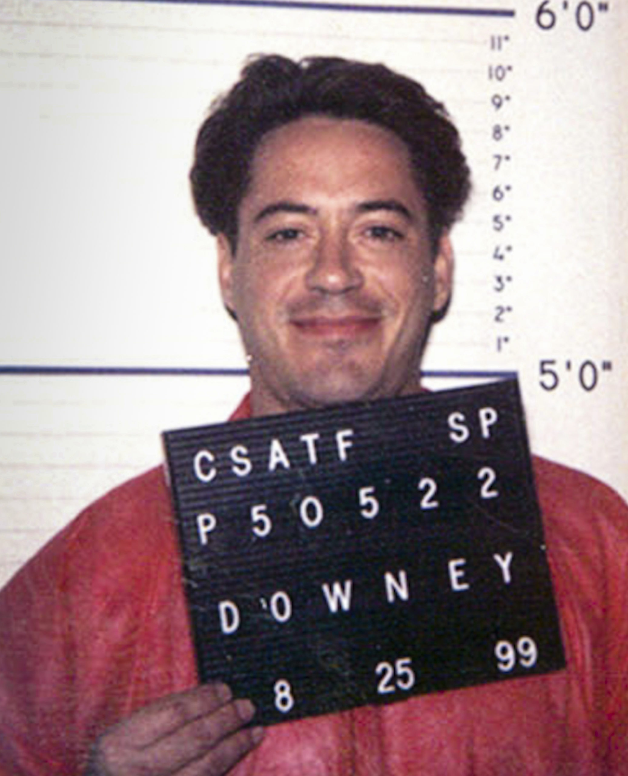 Robert Downey Jr Mug Shot