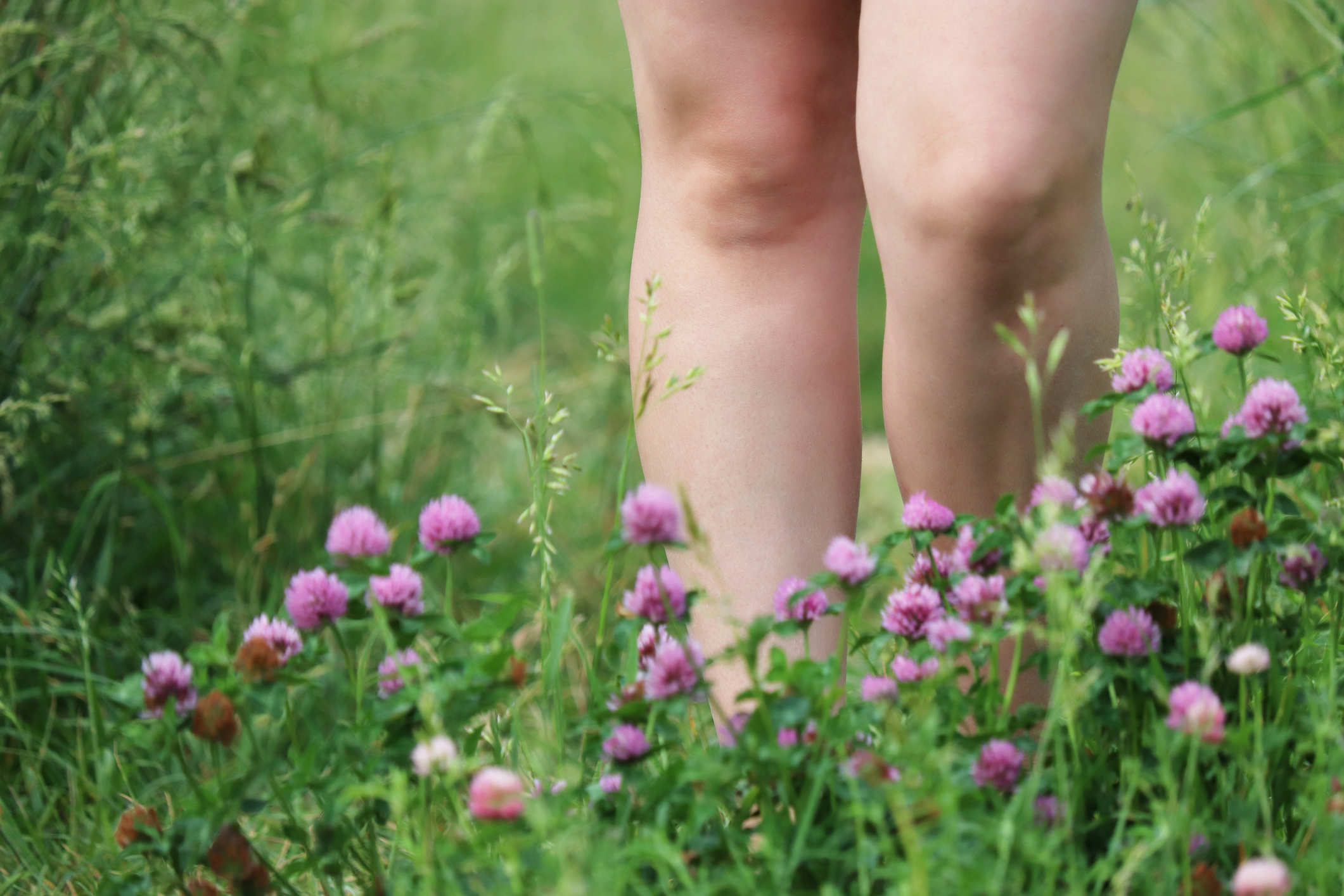 Girl walking on a summer field with clover flowers, view through the grass