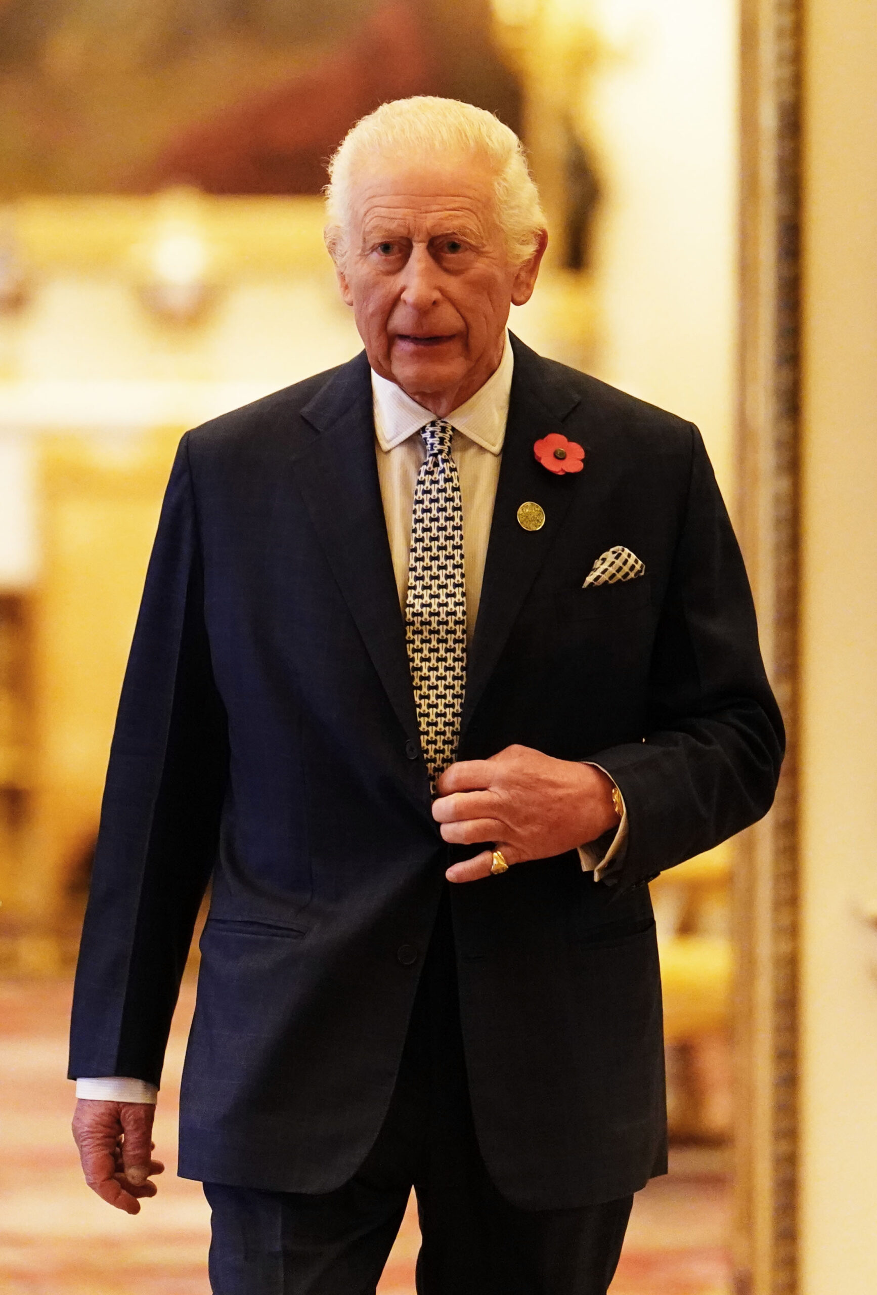 International Sustainability Reception With King Charles III