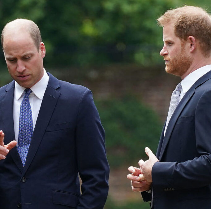 Harry & William slam ‘hurtful and distasteful’ interview about their mother