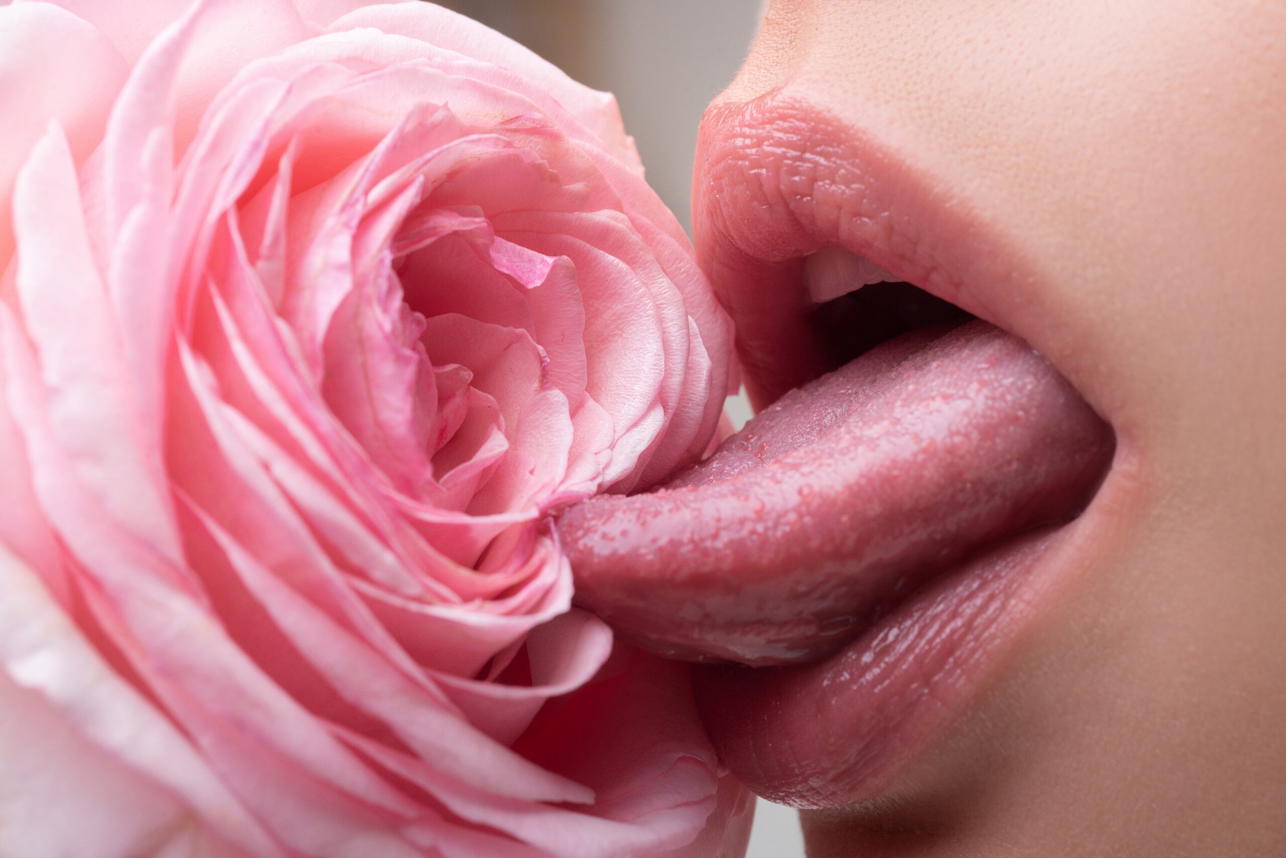 Lips with lipstick closeup. Beautiful woman lips with rose. Girl blowjob with tongue, v Pamela Anderson
