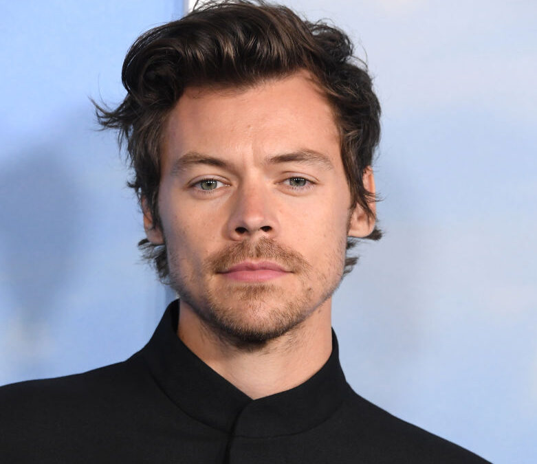 Harry Styles and the actress with the ‘best breasts in Hollywood’!