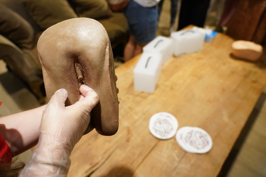 Juncal Alzugaray Presents Alooa, The First Real Anatomical Model Of The Vagina And Vulva.