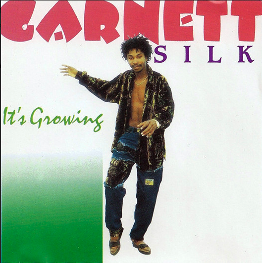 42. Garnet Silk - It's Growing