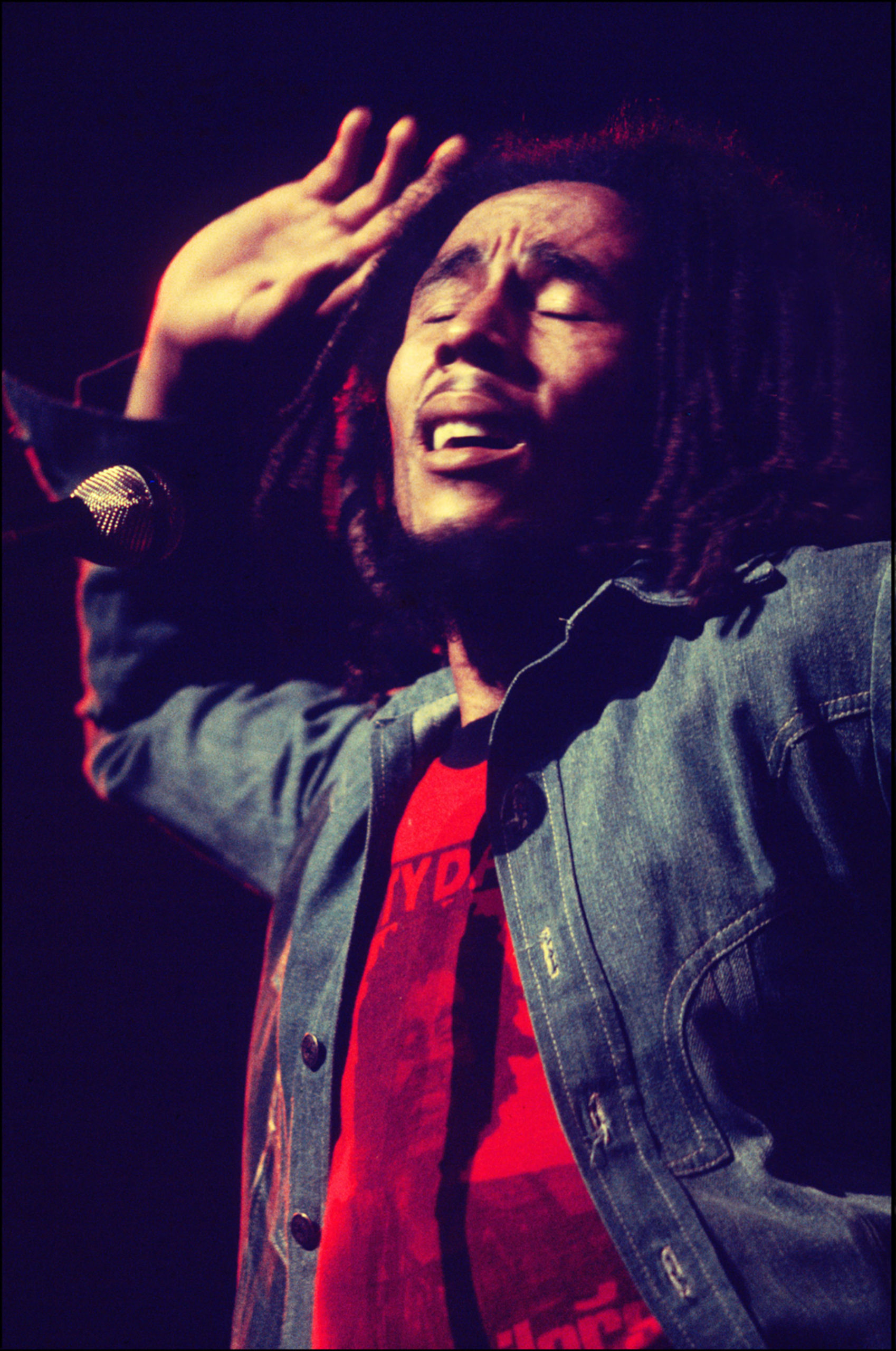 Bob Marley Performance