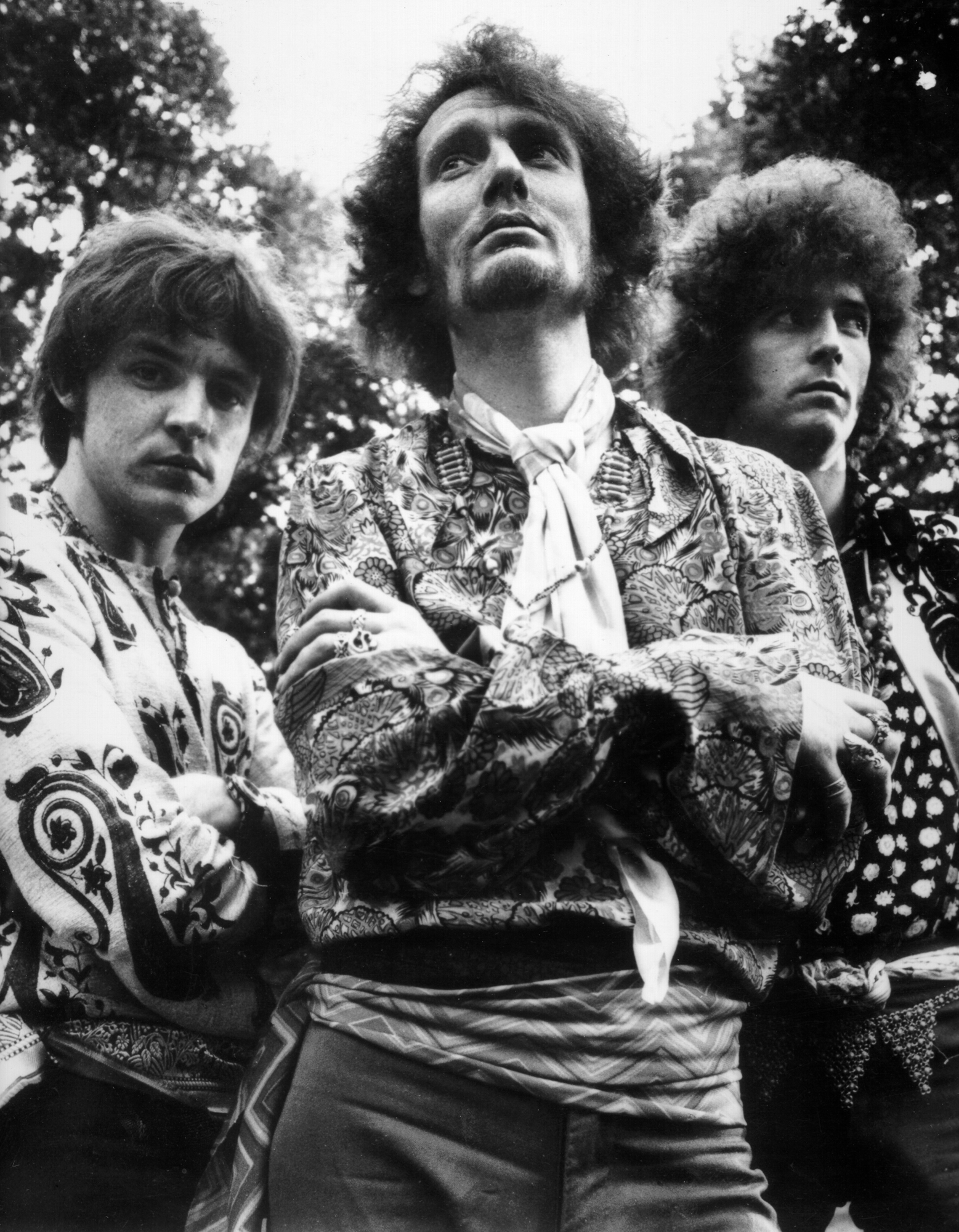 Cream Portrait