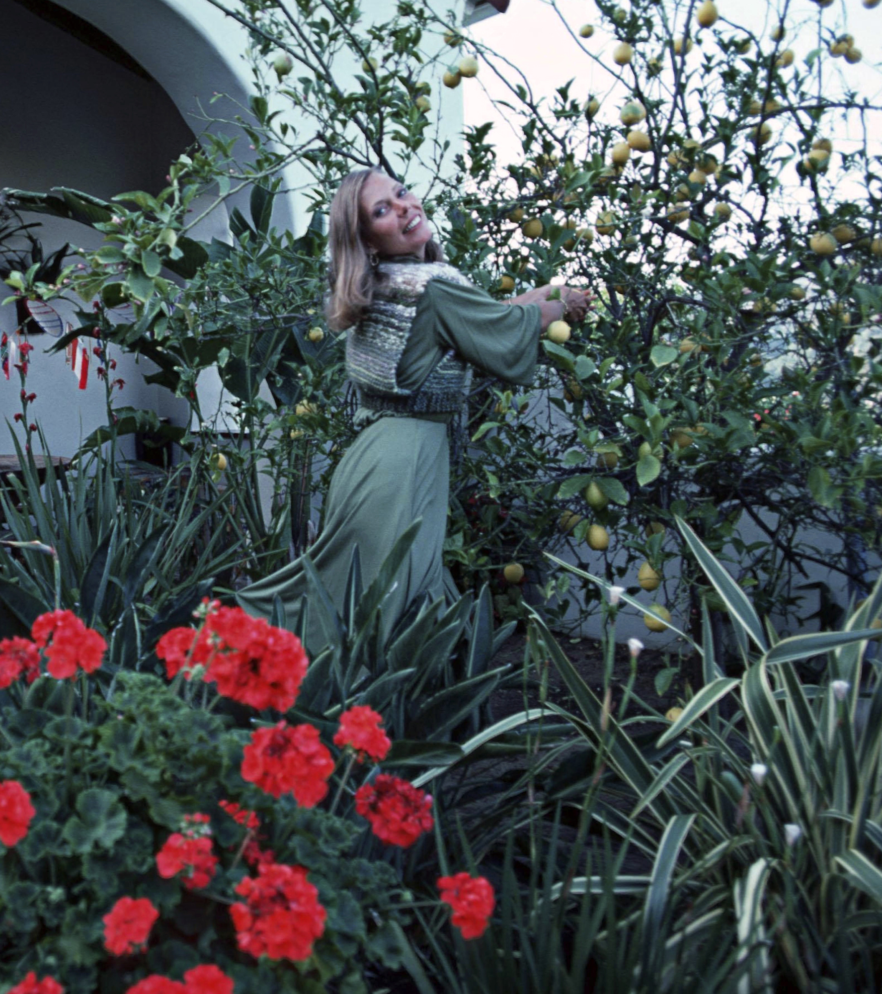 Joni Mitchell (1975)