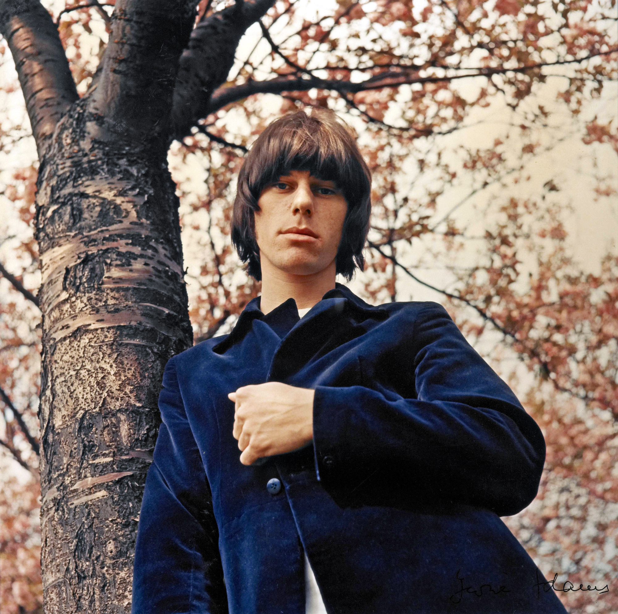Photo of Jeff BECK under a tree